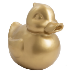 Collection image for: Canard