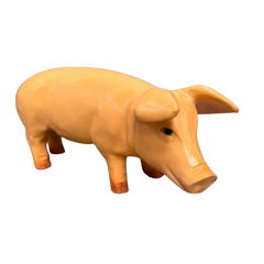 Collection image for: Cochon