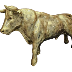 Collection image for: Taureau