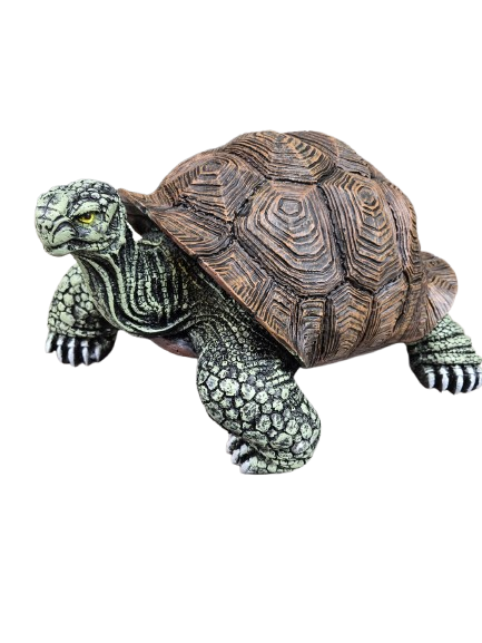 Sculpture Tortue en Résine 65 cm Nature Dorée – ZooFactory